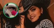 Ana Bárbara enciende alertas al aparecer en silla de ruedas; ¿Qué le pasó?