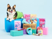 Best dog subscription boxes in Canada in 2025