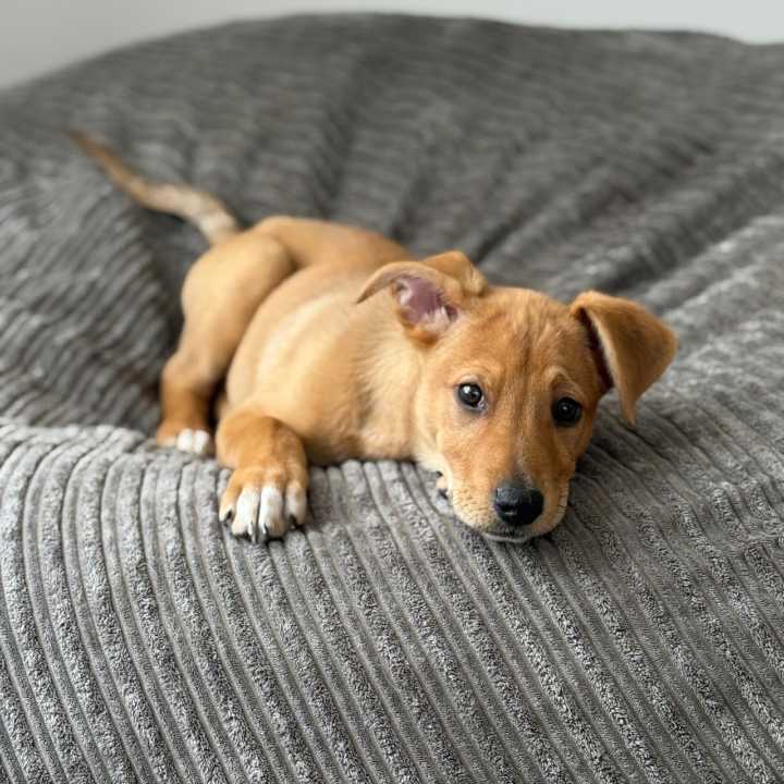 Our newest family member: Cliff Anthony
