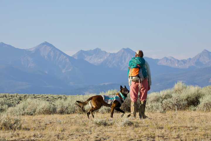 Sniffing for the environment
