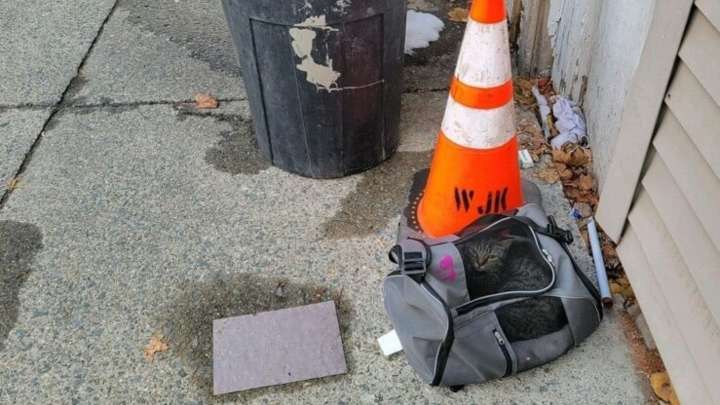What Rescuers Found In A Duffel Bag Near A New York Trash Can Left Them Stunned