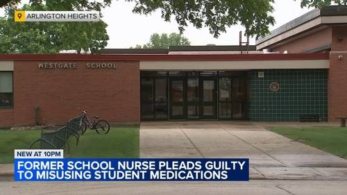 Former Arlington Heights Westgate Elementary School nurse Tory Eitz pleads guilty to misusing medications intended for students