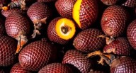 Reino Unido, la llave para superfrutos en Europa: el proyecto con Aje y negocios en marcha