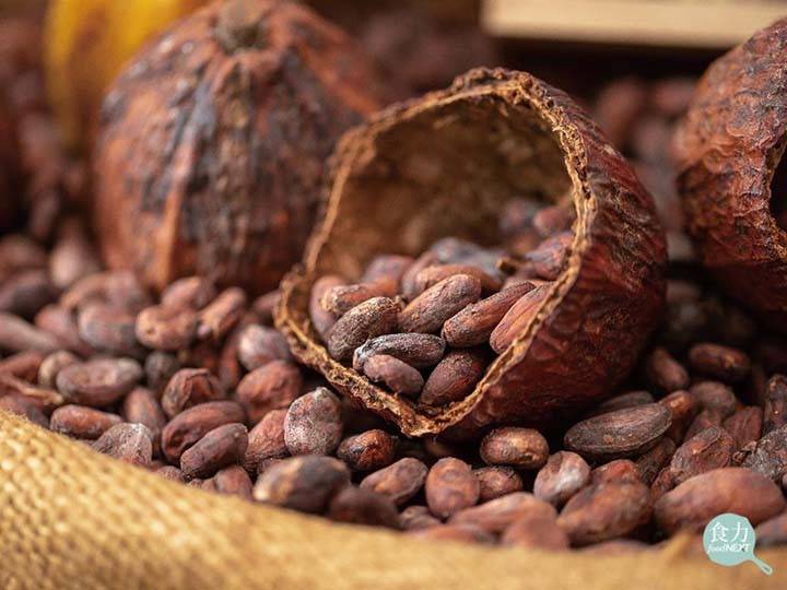 Venezuela envía 300 toneladas de cacao a Rusia en 2 meses