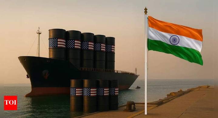 'We don't want to punish India': American energy sec says New Delhi doesn't need to buy Russian oil; gives this solution