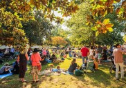 Busy Weekend: EAV Strut, Washington Park Jamboree, Tunes from the Tombs & more