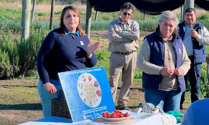 INTA El Colorado recibió a estudiantes de Laishí para una jornada de capacitación