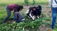 Organizaciones comunitarias recibirán hasta $ 120 millones de la CAR: convocatoria abierta