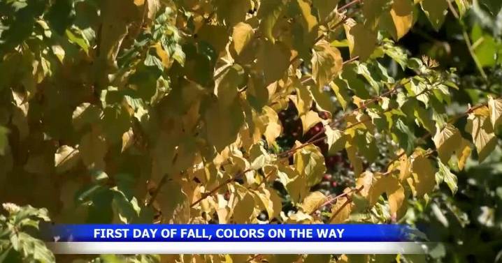 First day of fall brings new fall foliage