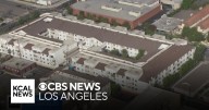Nearly three dozen pets found dead inside burning apartment in Long Beach