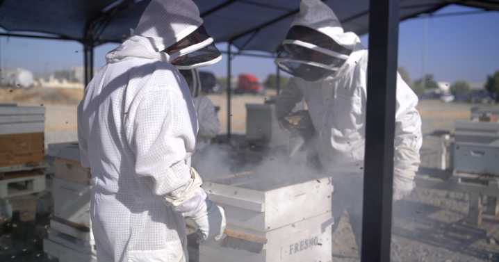 See What the Buzz is About: North Kern State Prison launches unique rehabilitation program