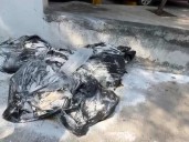 ¿Ritual satánico? Hallan restos de cabras y aves decapitadas en NL