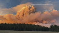 Firefighter dies in line of duty while fighting Dragon Bravo Fire in Arizona