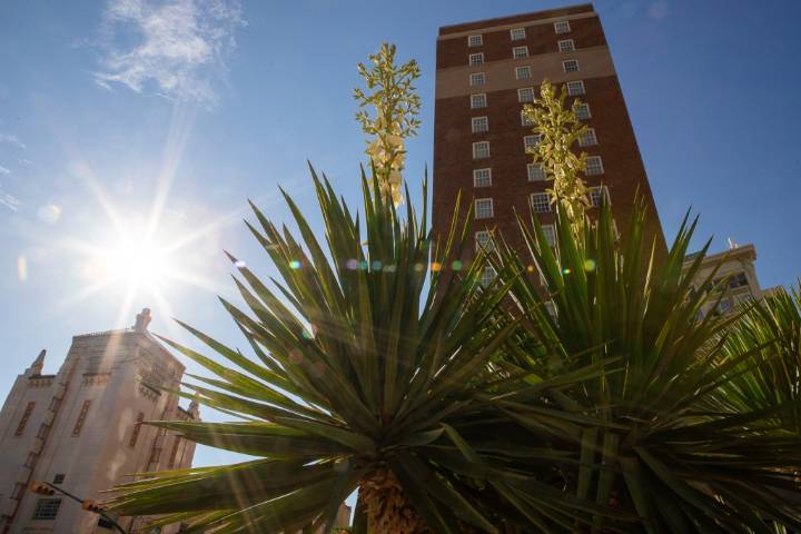 El Paso gets a ‘milder’ summer. But heat records show warming trend isn’t letting up