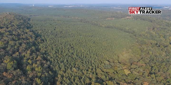 Opposition growing over proposed data center in Bessemer