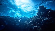 El asombro de la comunidad científica es total: hallan una grieta marina que transforma lo que conocemos sobre la Tierra