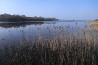 Tory green group urges Badenoch to prioritise nature recovery