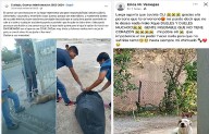 Vecinos de Ocampo denuncian envenenamiento masivo de perros
