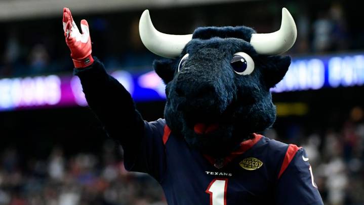 Houston Texans mascot TORO issues statement after pranking Titans fan