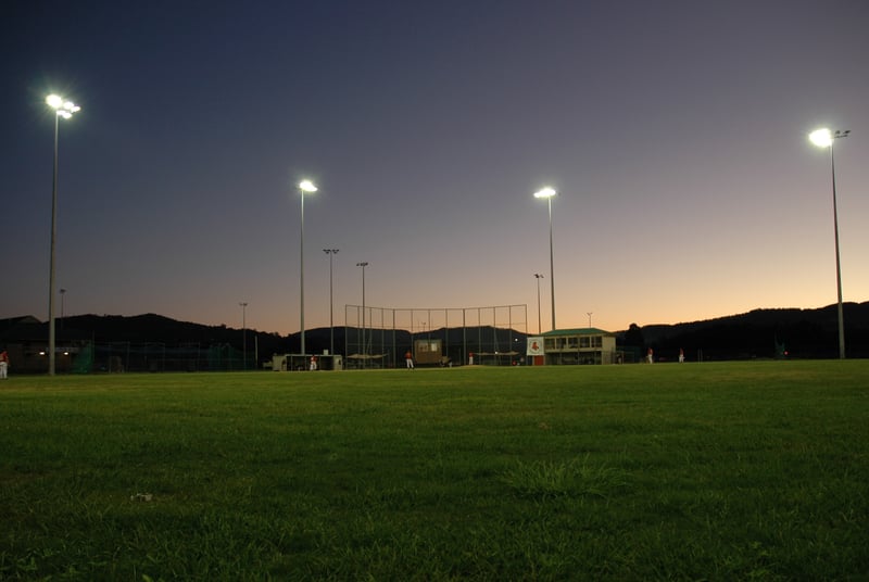 Roanoke man posed as progressional baseball prospect was sex offender preying on women