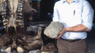 Evolutionist Proves Mennonites are Descended from Abes