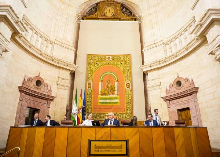 Se celebra el primer pleno de la legislatura en el Parlamento, abordando temas como la sanidad o los incendios
