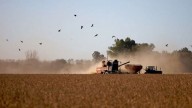 Fuerte malestar en el sector agrícola tras el final de las retenciones cero