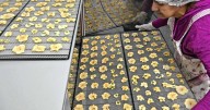 Roca diversifica la producción e impulsa la idea de una alimentación más sana