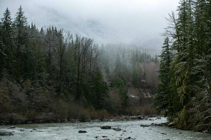 U.S. Forest Service lifts for Mt. Baker-Snoqualmie forest public fire use restrictions