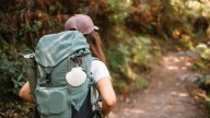 El camino de Santiago, placer de otoño: guía práctica para peregrinos primerizos