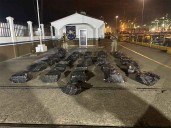 Panamá incauta una tonelada de droga oculta en contenedores