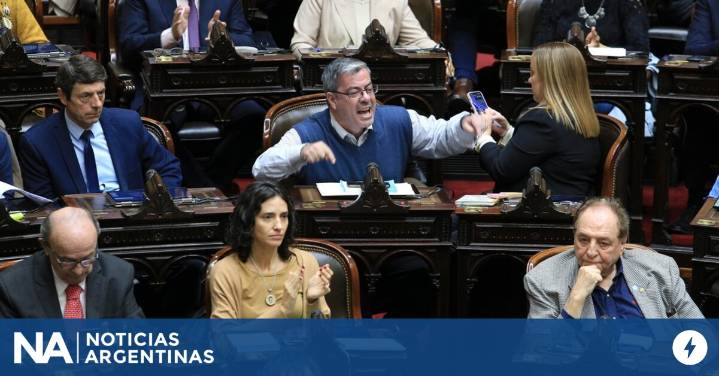 La oposición encara con optimismo la sesión en Diputados para tumbar los vetos de Milei