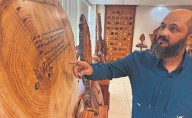 Los árboles guardan la memoria del clima