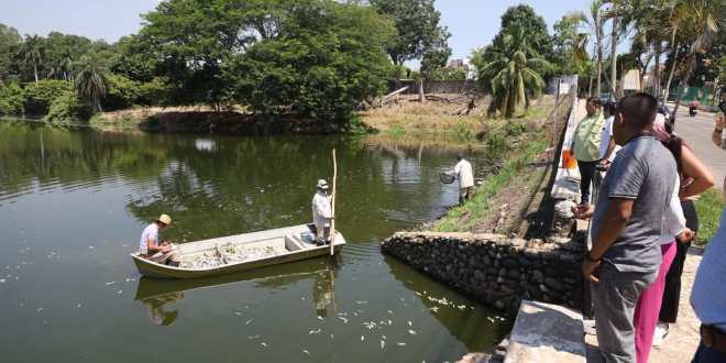 Autoridades investigan mortandad masiva de peces en la Laguna de las Ilusiones