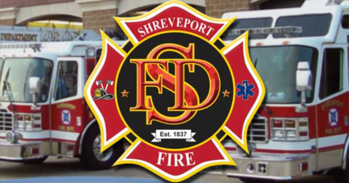 Dogs rescued in overnight house fire