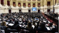 Diputados de la oposición buscan rechazar los vetos de Javier Milei al Garrahan y universidades