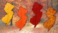 N.J. fall foliage guide 2025: The 13 best leaf-peeping spots to visit this autumn