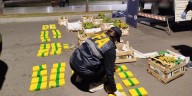 Hallaron entre bananas y papayas un cargamento de cocaína con la marca del Delfín valuado en $360 millones