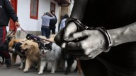 Hombre que asesinó a paseador de perros en Rionegro fue capturado: había intentado quitarse la vida