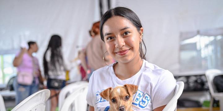 Ibagué: aliste a su mascota para la jornada gratuita de bienestar