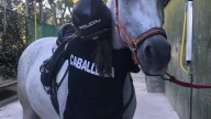 Marlaska adeuda dietas a la Caballería de la Policía Nacional: "No recibimos ni un duro"