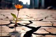 Fortalezas y debilidades: las claves para atravesar momentos difíciles
