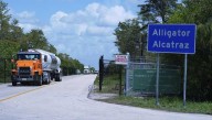 Appeals court panel stops order to wind down operations at 'Alligator Alcatraz'