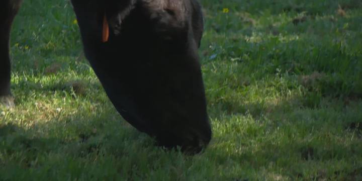 Federal funding for flood and drought releif available to ranchers