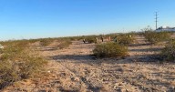 Cuerpo en descomposición es localizado en el valle