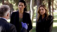 What The Cast Of Rizzoli & Isles Looks Like Now