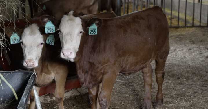 Steep fees could hit farmers as state proposes rule amendment