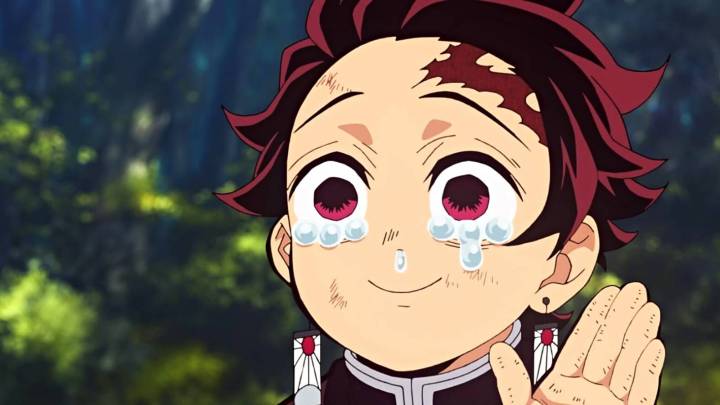 Demon Slayer: Infinity Castle Kills Giyu x Shinobu Romance