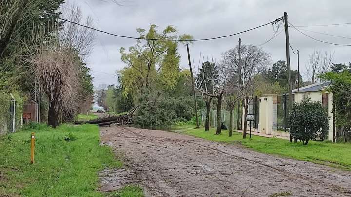 Santa Rosa llegó puntual con viento y más de 100 mm de agua caída
