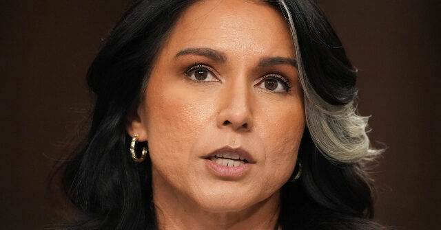 Tulsi Gabbard: Assassin Killed Charlie Kirk to 'Terrorize Those Who Think Like Charlie into Silence'